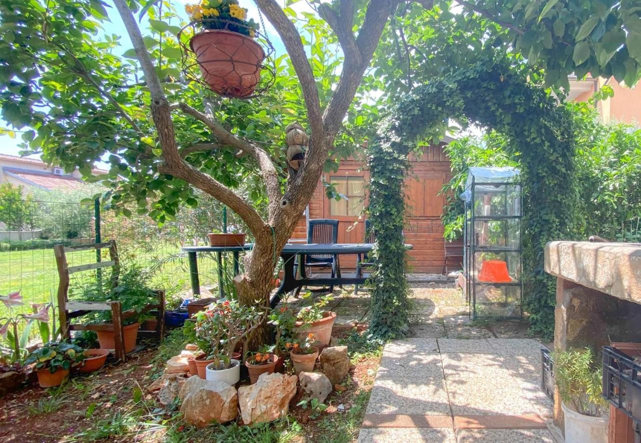 Santo Apartment Новиград Екстериор снимка